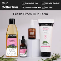 Soulflower Rosemary Essential Oil for Hair Growth, Hair Fall Control and Nourishment, Skin Care | Clinically Tested & Ecocert Certified Organic 100% Pure, Natural, Undiluted | 15ml