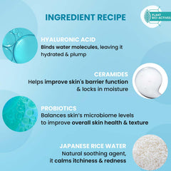 Dot & Key Blueberry Hydrate Barrier Repair Shower Gel | Sulphate Free & Non Drying | Body Wash For Sensitive, Dry & Normal Skin | 250ml