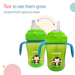 LuvLap Banana Time 210ml Anti Spill, Interchangeable Sipper / Sippy Cup with Soft Silicone Spout and Straw BPA Free, 6m+ (Green) - Baby Product from LuvLap - Shop in Sri Lanka at Arcade.lk