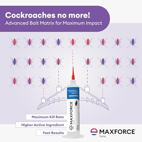 Maxforce Forte 30gm Cockroach Gel for Professional Pest Control | Anti Roach Gel | Cockroach Killer