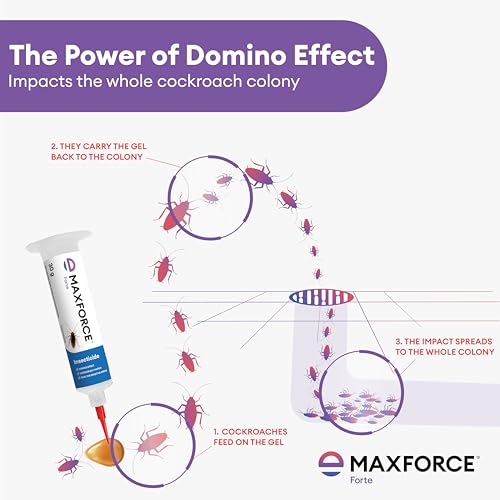 Maxforce Forte 30gm Cockroach Gel for Professional Pest Control | Anti Roach Gel | Cockroach Killer