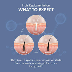 ThriveCo Anti-Grey Hair Prime Serum | Reverses & Limits Hair Greying | Arcolys + Biotin + Black Tea Extract | Light-Weight, Non-Sticky & Odourless | For Men and Women | 50 Ml