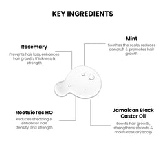 ThriveCo Rosemary Mint Hair Oil | For Hair Growth, Hair fall and Dandruff Control | Smoothens Dry Scalp & Split Ends | Suitable for both Men and Women |50ml