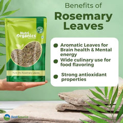 NutriOrganics Rosemary Dried Leaves - 100gm | Rosemary Leaves for hair growth & Food 100g