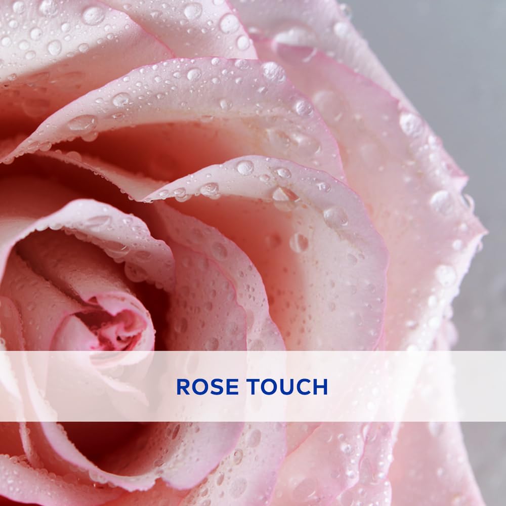 NIVEA Soft Rose Shine 4.8g Lip Balm | 24H Melt in Moisture Formula | Natural Oils | Glossy Finish,4.8 g (Pack of 1)