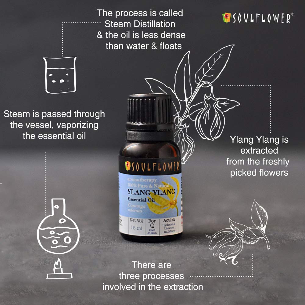 Soulflower Ylang Essential Oil for Strengthen Hair Roots, Control Hair Fall, Skin Moisture, Controls Acne, Aromatherapy - 100% Pure, Natural & Undiluted Premium Essential Oil, 15ml