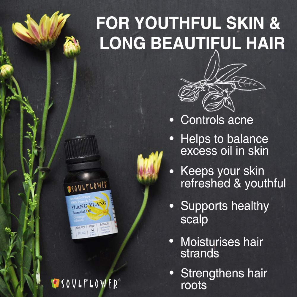 Soulflower Ylang Essential Oil for Strengthen Hair Roots, Control Hair Fall, Skin Moisture, Controls Acne, Aromatherapy - 100% Pure, Natural & Undiluted Premium Essential Oil, 15ml