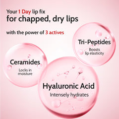 Chemist At Play's Cherry Lip Balm| Repairs Chapped Lips Brightens Dark Lips | 1% Kojic Acid| SPF 50 PA++++| For men and women| 4.5gm