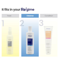 RE' EQUIL Dandruff Control Shampoo | Reduces Dandruff And Regulates Sebum Production | All Hair Types | 250Ml
