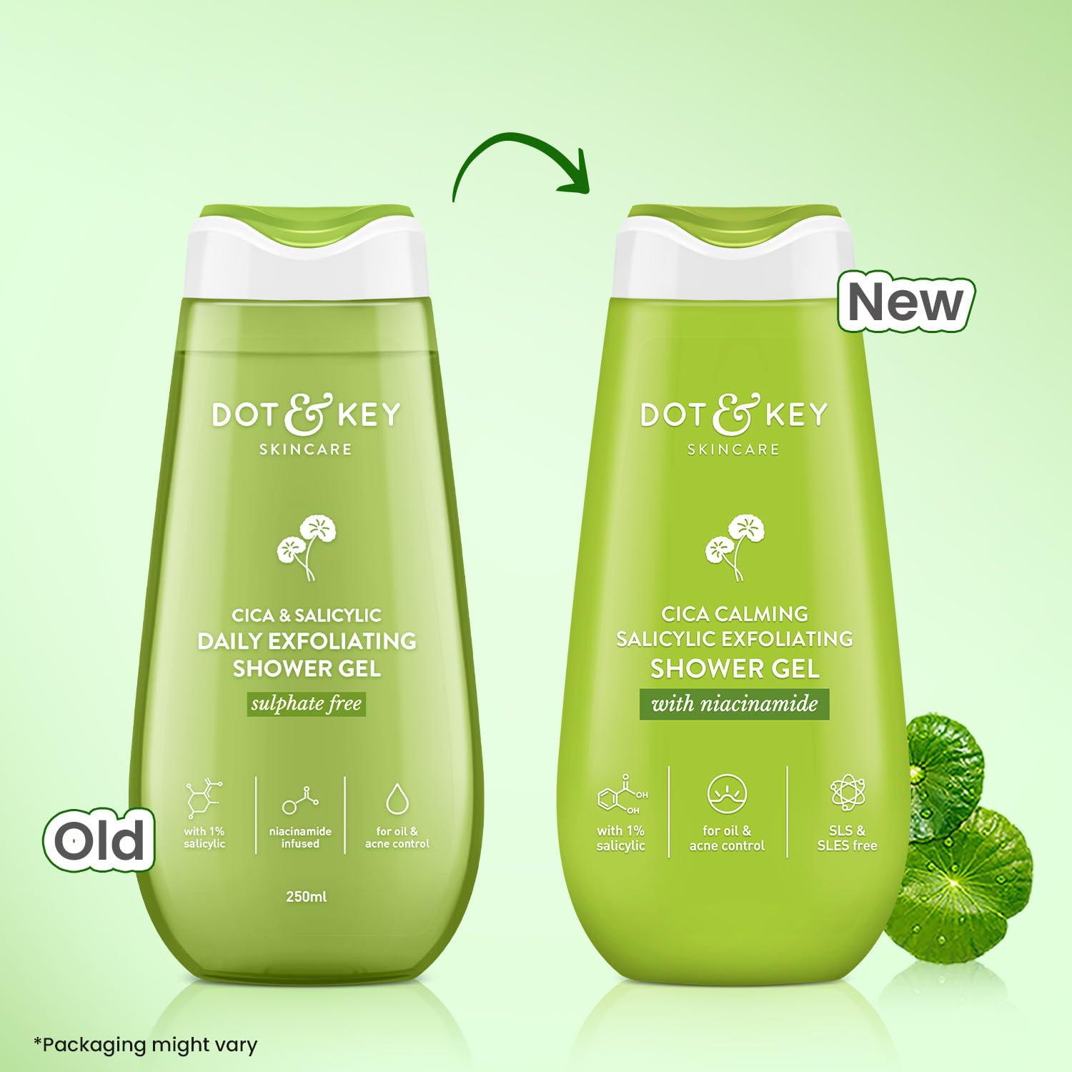 Dot & Key Cica & 1% Salicylic Daily Exfoliating Shower Gel | Niacinamide Infused | Body Wash for Oil & Acne Control | Reduces Body Acne & Smoothes Irritation | Clean, Acne Free Skin | 250ml