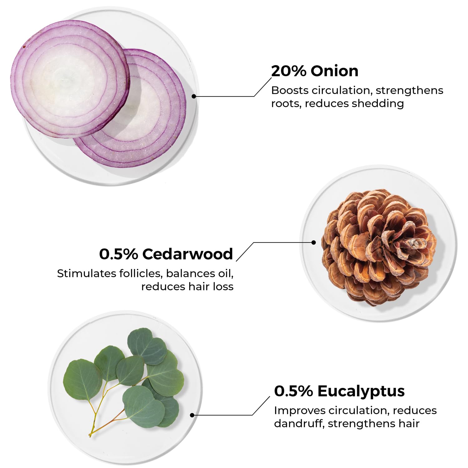 Brillare 20% Onion Hair Oil for Hair Fall Reduction with Goodness of Cedar Wood & Sunflower | Visible Hair Fall Reduction in 15 Days