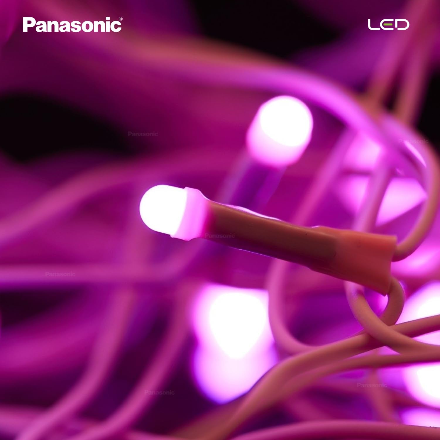 Panasonic Deco Fancy 10 Mtr LED String Light (Pink)