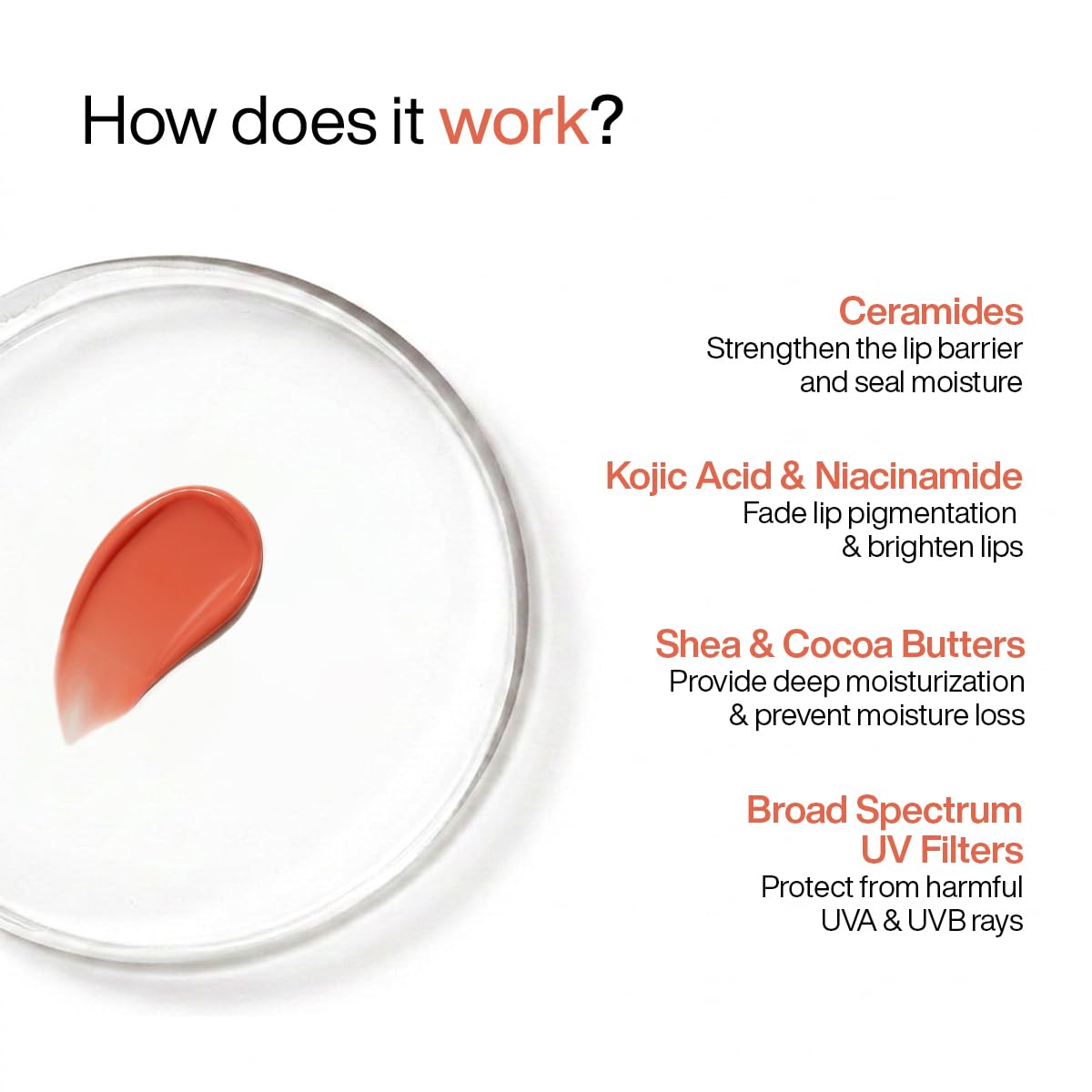 WishCare Tinted Lip Balm SPF 50 PA++++ | Brightening Lip Balm for Dark Lips | In-Vivo Tested | Kojic Acid & Niacinamide | For Women | 5g (Coral Peach)