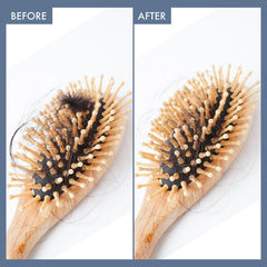 ThriveCo Rosemary Shampoo for Hair Fall Control & Advanced Hair Growth | With Rosemary, Rice Water Pea Peptide, Caffeine,& Hyaplex™ | 250ml