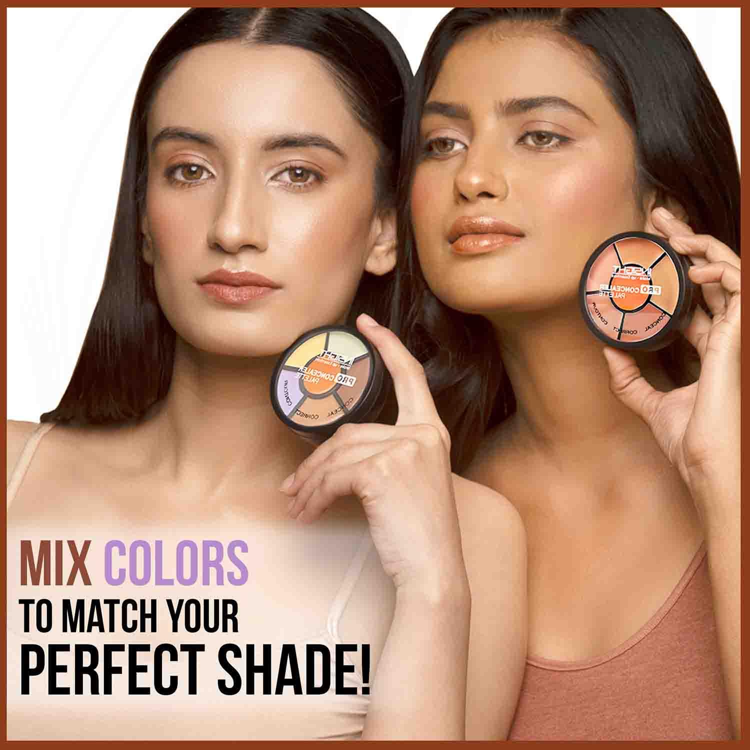 INSIGHT Cosmetics Natural Pro Concealer Palette Powder