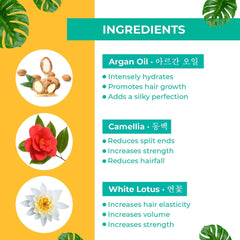 Pilgrim Mild Sulphate Free Shampoo (Argan Oil) For Dry Frizzy Hair, Men and Women, No Sulphate No Paraben, Korean Beauty Secrets (Shampoo & Hair Mask)-300 ml