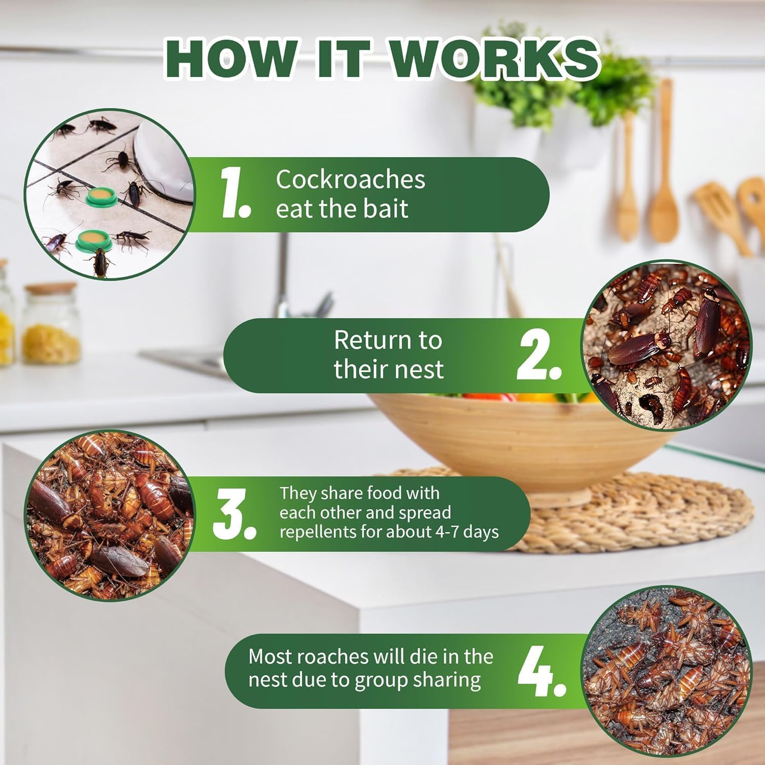 MANSPOT Natural Cockroach Killer for Kitchens, Bathrooms, and Cabinets, Eco-Friendly Home Remedy for Indoor & outdoor Cockroach Control (6)