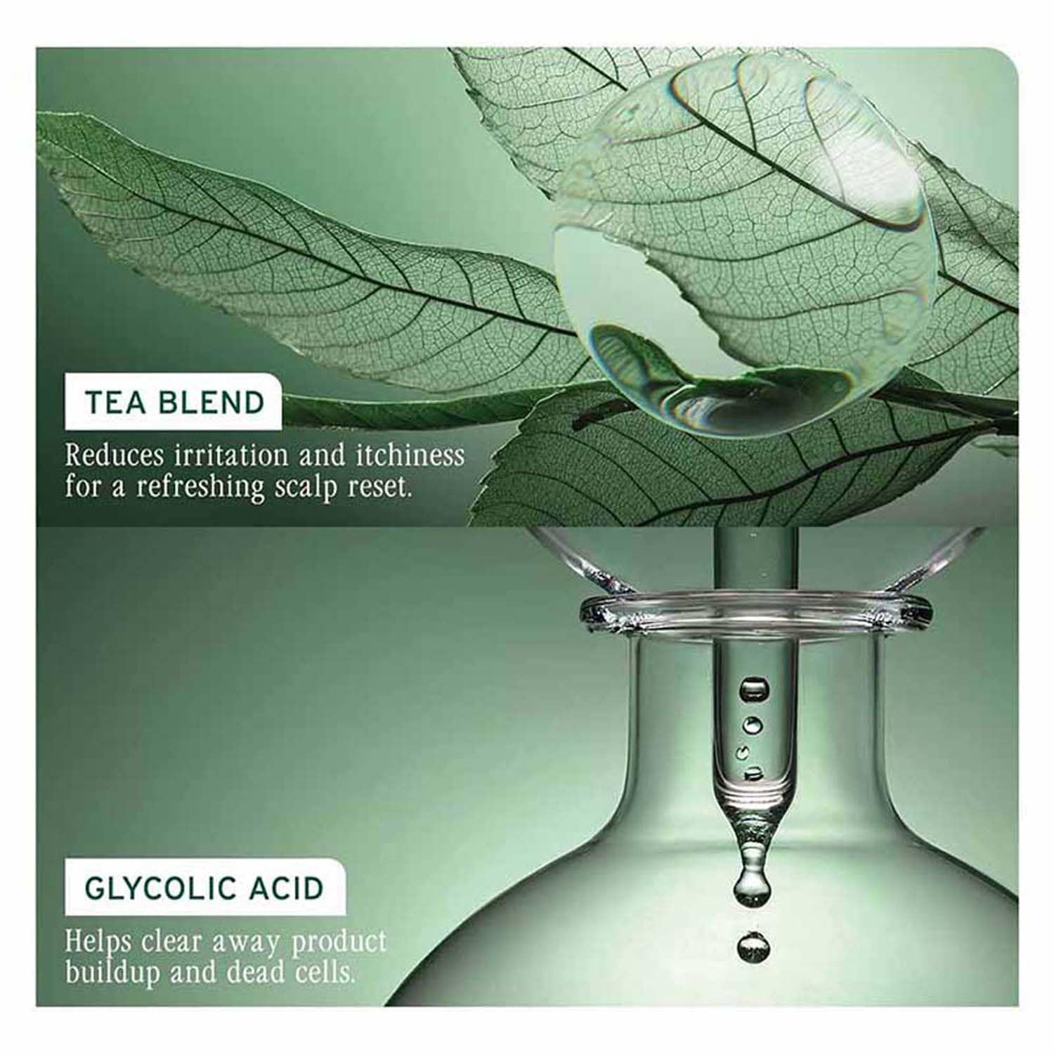 Biolage Professional Scalp Sync Anti-Dandruff Shampoo & Conditioner Combo| Removes Dandruff & Build-up, balances Sebum levels | With Piroctone Olamine, Glycolic Acid & Fermented Tea | 200ml+100ml