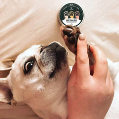 Goofy Tails Hemp Paw Cream for Dogs 30g, All Natural Hemp Paw Butter for Dogs and Puppies, Dog Paw Cream Protects, Soothes and Moisturises Paws and Elbows, Enriched with Beeswax and Essential Oils