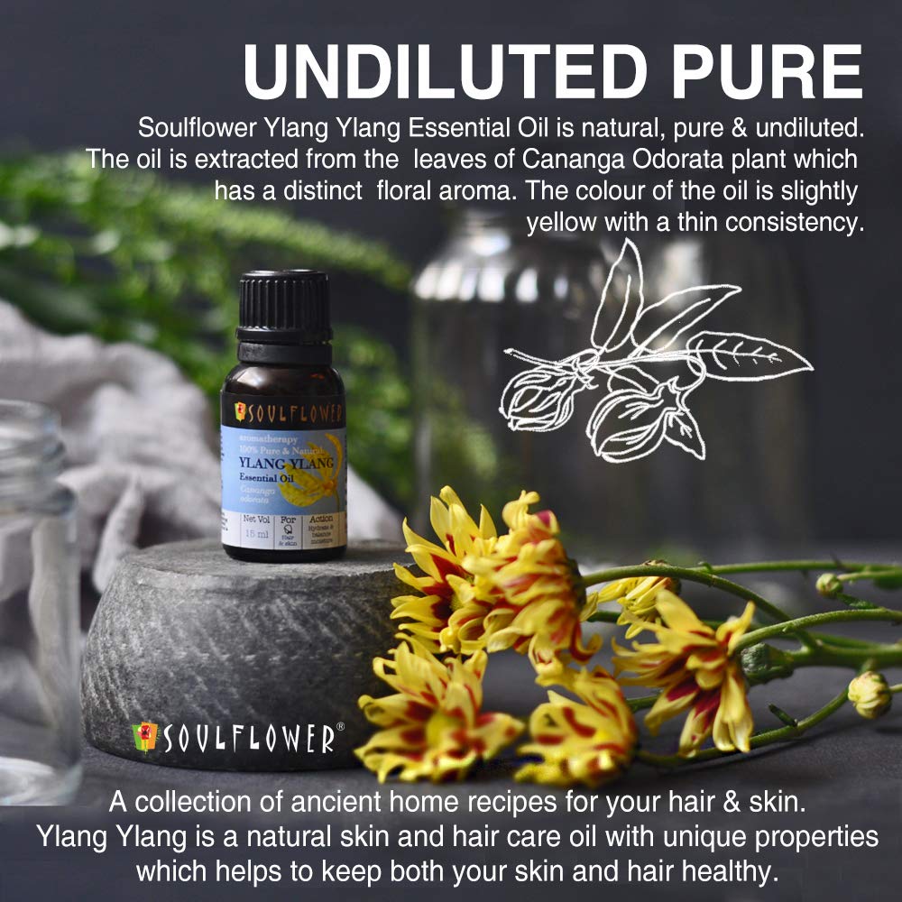 Soulflower Ylang Essential Oil for Strengthen Hair Roots, Control Hair Fall, Skin Moisture, Controls Acne, Aromatherapy - 100% Pure, Natural & Undiluted Premium Essential Oil, 15ml
