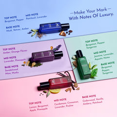 Park Avenue Luxury Perfume Gift Set for Men, 4x20 ml | Euphoria, Conquer, Harmony & Discoverer Perfume | Eau De Parfum | Premium Luxury Perfume for Corporate Man | Perfume for men Long Lasting Smell