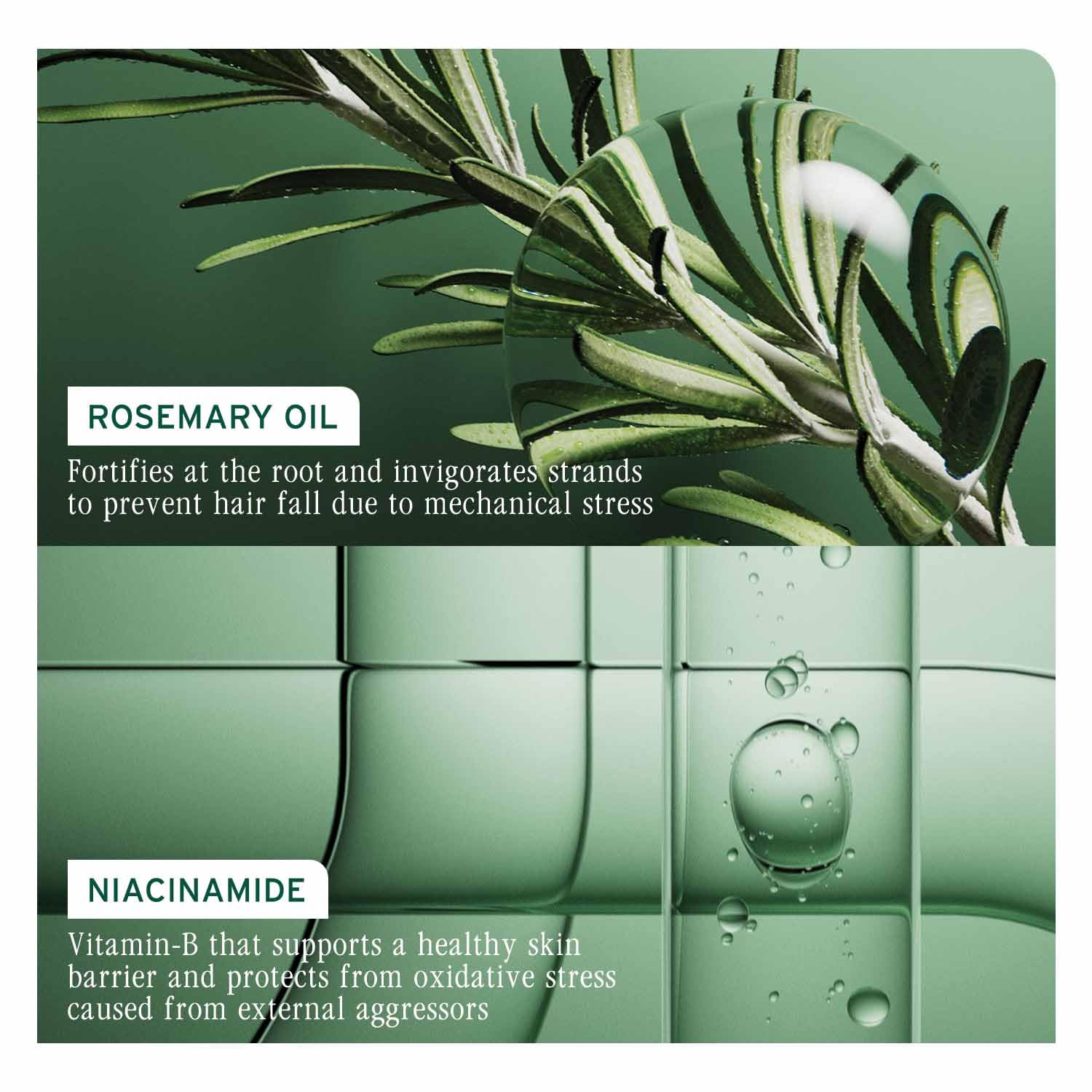 Biolage Professional Full Rescue Anti-Hairfall Shampoo | 74% resistance to Hairfall | With Rosemary Oil & Niacinamide | For Women & Men | Vegan & Cruelty-Free | 200ml
