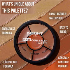 INSIGHT Cosmetics Natural Pro Concealer Palette Powder