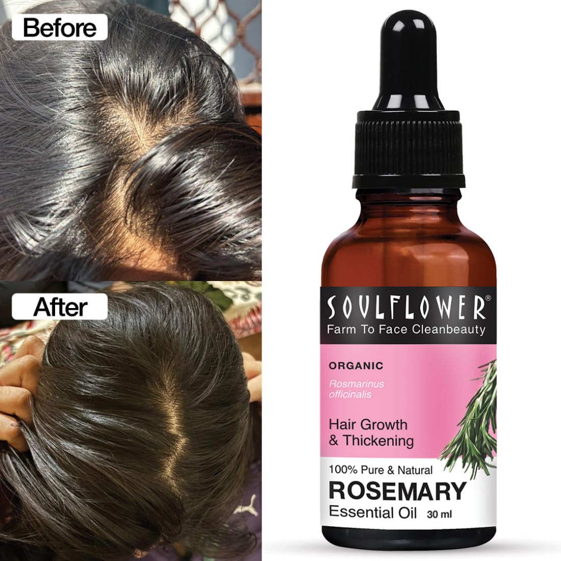 Soulflower Rosemary Essential Oil for Hair Growth, Hair Fall Control, Nourishment & Strengthening, Skin Care| Clinically Tested and Ecocert Certified Organic 100% Pure & Natural Undiluted, 30ml