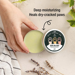 Goofy Tails Hemp Paw Cream for Dogs 30g, All Natural Hemp Paw Butter for Dogs and Puppies, Dog Paw Cream Protects, Soothes and Moisturises Paws and Elbows, Enriched with Beeswax and Essential Oils