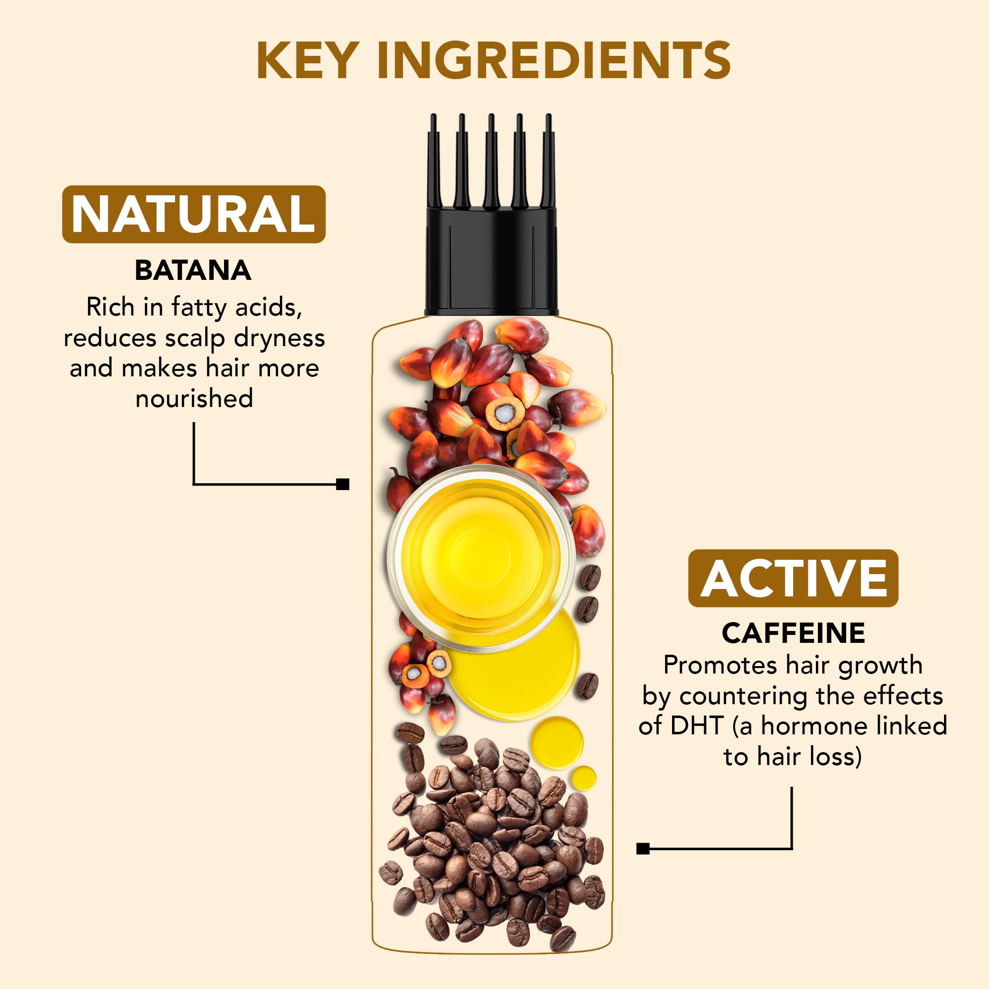 Botanic Hearth Batana Caffeine Hair Oil with Almond – 150ml – Nourishing & Strengthening Hair Treatment, Promotes Healthy Hair Growth, Enhances Shine & Moisture | Glammy.lk