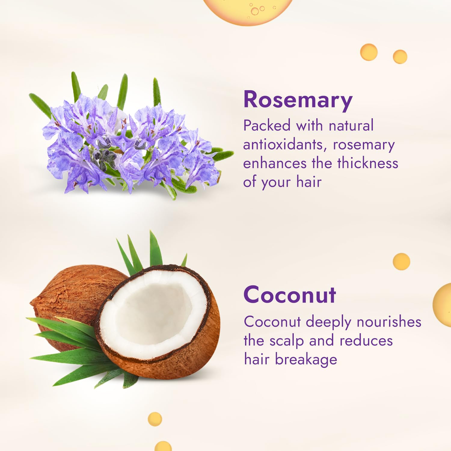 Parachute Advansed Rosemary-enriched Coconut Hair Oil| Rosemary Hair Oil| Superfoods Magic| Long & Thick Hair|300 Ml