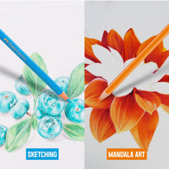 Faber-Castell Triangular Colour Pencil Set – Pack of 24 | Colour Pencils for Kids Aged 6-12 | Ergonomic Pencil Colour Set for School & Art Projects