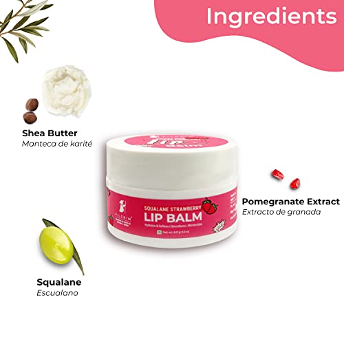Pilgrim Squalane Lip Balm (Strawberry) for women & men | Lip Balm for dark lips | Lip Balm with Shea & Cocoa Butter for soft lips | Lip Balm for soothing & hydrating Dry & Chapped Lips | 8 gm -  Lip Balms in Sri Lanka from Arcade Online Shopping - Just Rs. 1925!