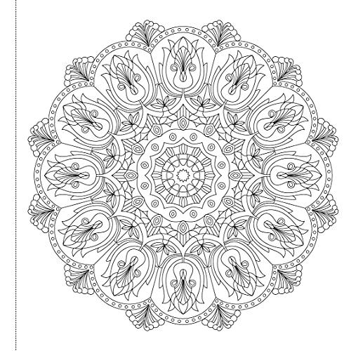 Mandala: Colouring books for Adults with tear out sheets -  Adult Coloring Books in Sri Lanka from Arcade Online Shopping - Just Rs. 2490!